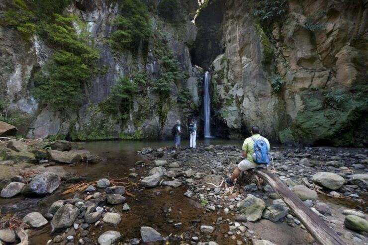 From Ponta Delgada: Guided Walking Tour to Salto Do Cabrito - Experience Highlights
