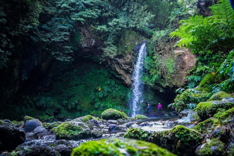 From Ponta Delgada: Hiking Moinho do Félix - Good To Know