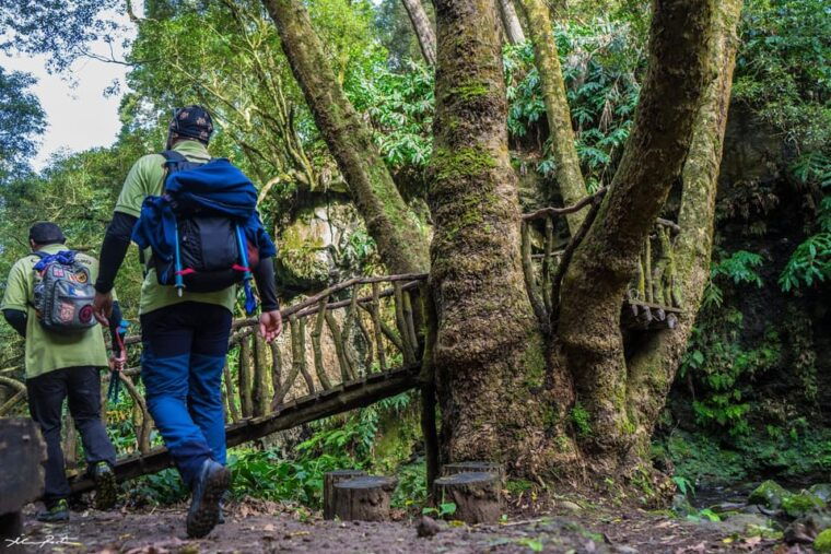 From Ponta Delgada: Hiking Moinho do Félix - The Cost and Value