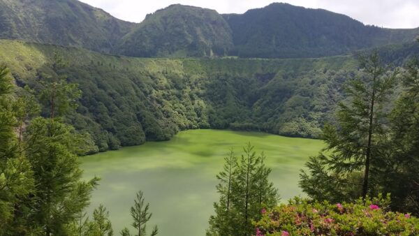 From Ponta Delgada: Sete Cidades Lakes & Fire Lake Day Tour - Frequently Asked Questions