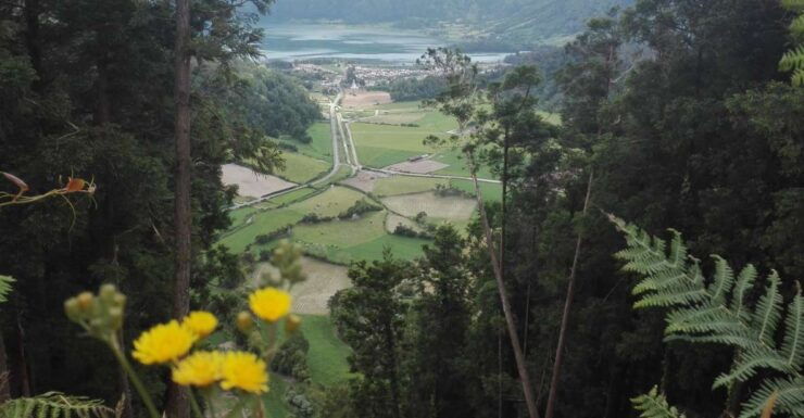 From Ponta Delgada: Sete Cidades Walk, Tasting and Kayaking - Tour Details