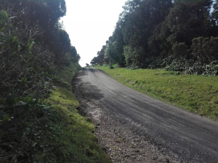 From Ponta Delgada: Vista Do Rei to Sete Cidades Guided Trek - Activity Details