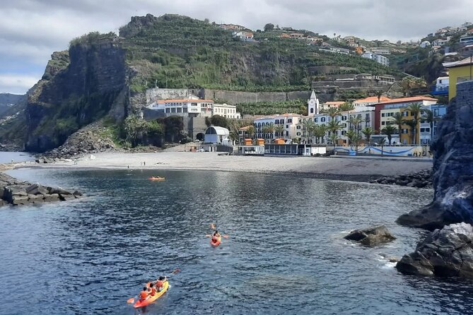 From Ponta Do Sol Tour to Porto Moniz Pools and Fanal Forest - Tour Highlights