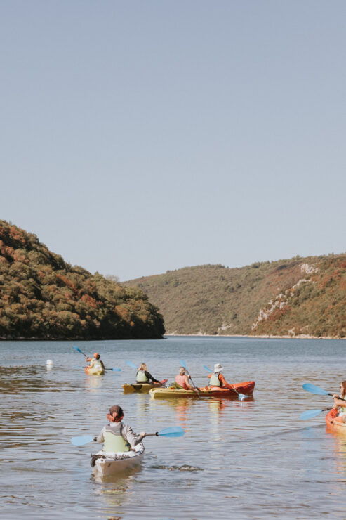 From Poreč: Lim Bay Sea Kayaking Day Trip - Good To Know