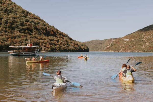 From Poreč: Lim Bay Sea Kayaking Day Trip - Customer Feedback