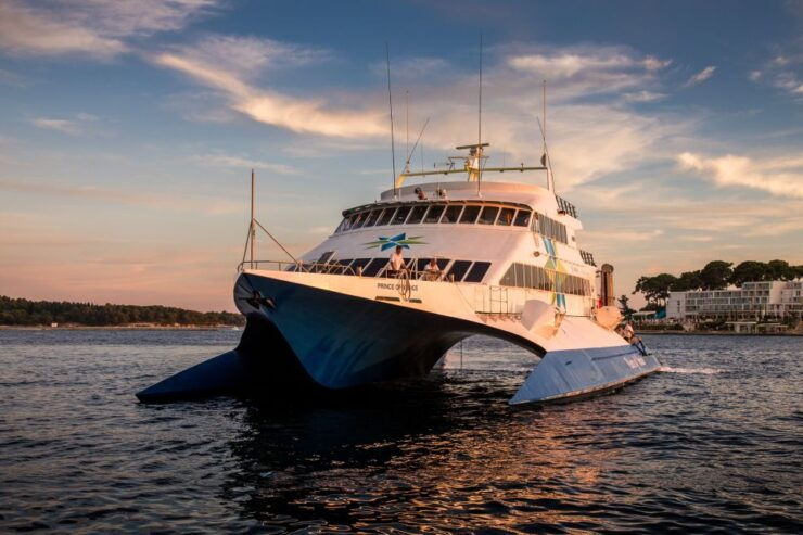 From Porec: Venice Catamaran Crossing One-Way or Round-Trip - Experience Highlights