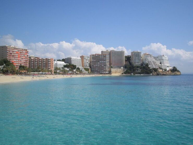 From Port Alcudia: Magaluf Shuttle Bus - Good To Know