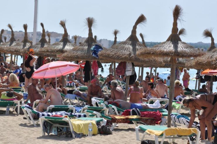 From Port Alcudia: Magaluf Shuttle Bus - Tour Details