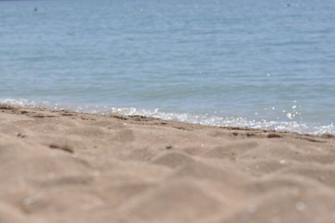 From Port Alcudia: Magaluf Shuttle Bus - Reserve Now & Pay Later