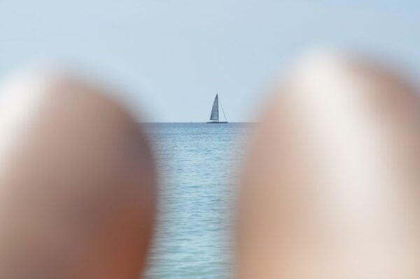 From Port Alcudia: Magaluf Shuttle Bus - Directions