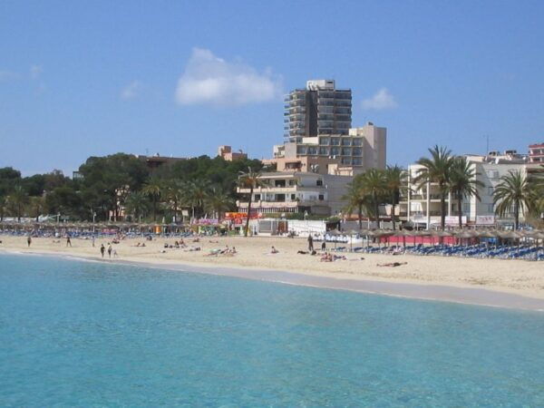 From Port Alcudia: Magaluf Shuttle Bus - Additional Information