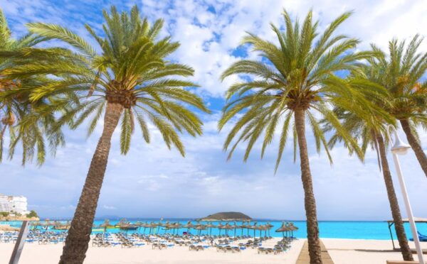From Port Alcudia: Magaluf Shuttle Bus - Frequently Asked Questions