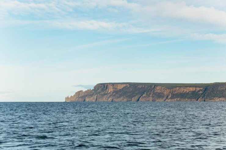 From Port Arthur: Tasman Island Wilderness Cruise - Free Cancellation and Flexible Payment