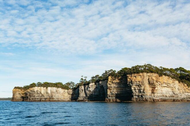 From Port Arthur: Tasman Island Wilderness Cruise - Experience Highlights