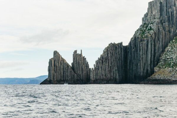 From Port Arthur: Tasman Island Wilderness Cruise - Common Questions