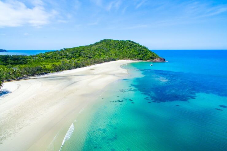 From Port Douglas: Daintree and Mossman Gorge Day Tour - Experience Highlights