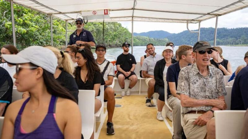 From Port Douglas: Daintree Rainforest & Mossman Gorge Tour - Who Is This Tour Best For?