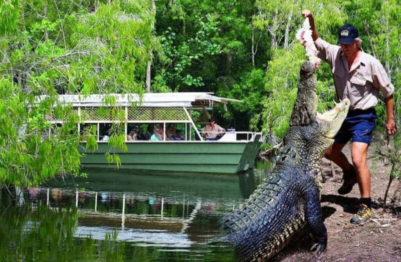 From Port Douglas: Hartley's Crocodile Park, Skyrail & Train - Final Thoughts