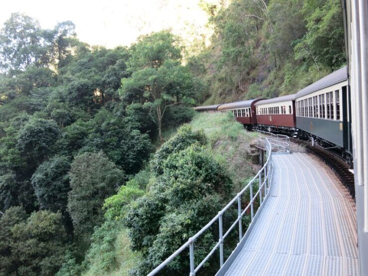 From Port Douglas: Kuranda via Scenic Rail & Skyrail Option - Tour Highlights in Kuranda
