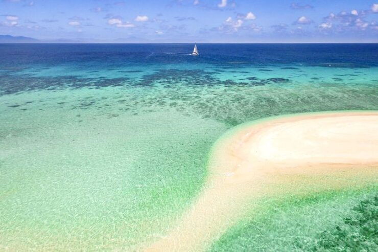 From Port Douglas: Outer Reef Cruise by Luxury Catamaran - Activity Details