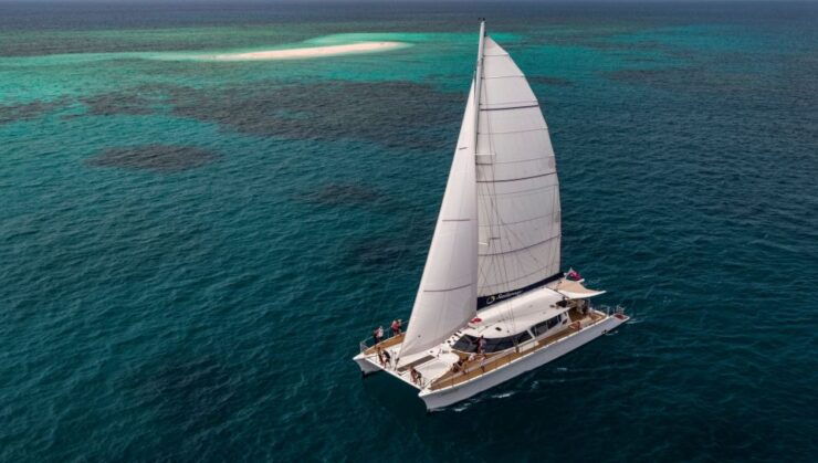 From Port Douglas: Outer Reef Cruise by Luxury Catamaran - Experience Highlights