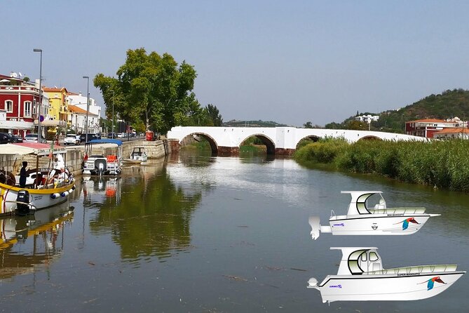 From Portimão: Boat Trip to the Medieval City of Silves - Accessibility Information