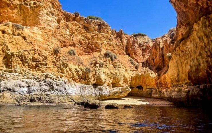 From Portimão to Paradise 60 Min Private Tour - Tour Description