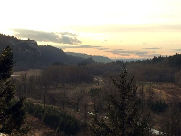 From Portland: Columbia Gorge Hike and Winery Lunch - The Sum Up