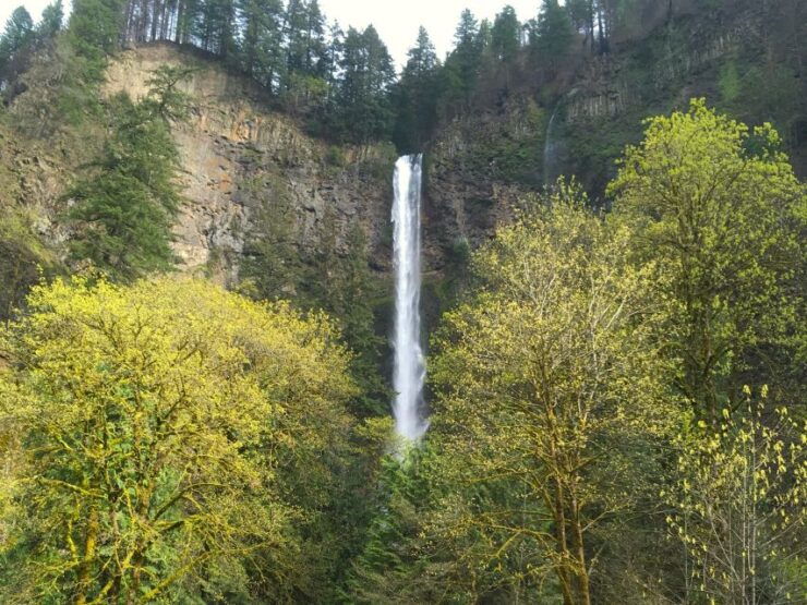 From Portland: Columbia Gorge Waterfalls Tour - Booking Information