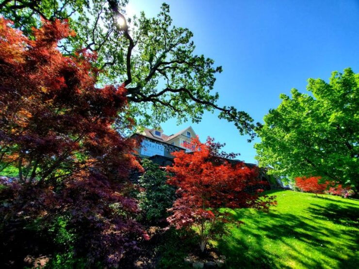 From Portland: Full Day Gorge Waterfalls & Mt. Hood Tour - Activity Details