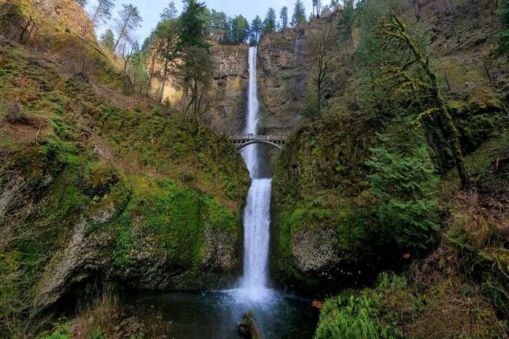 From Portland: Half Day Columbia River Gorge Waterfalls Tour - Experience Highlights