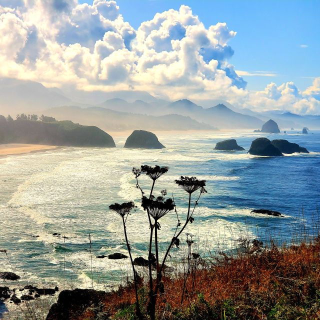 From Portland: Oregon Coast Adventure Day Tour With Pickup - Full Description