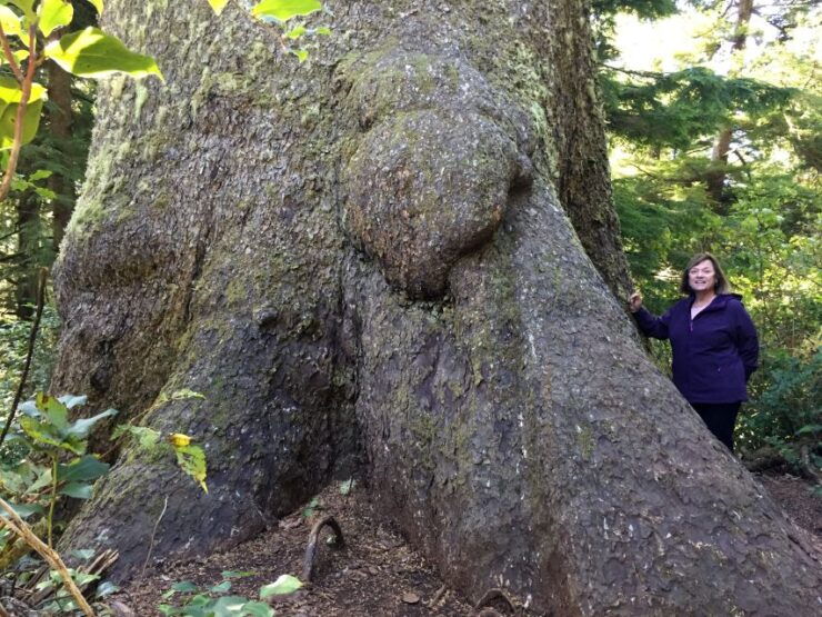 From Portland: Oregon Coast Day Trip to Three Capes Loop - Tour Details