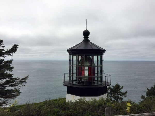 From Portland: Oregon Coast Day Trip to Three Capes Loop - Recommendations and Tips