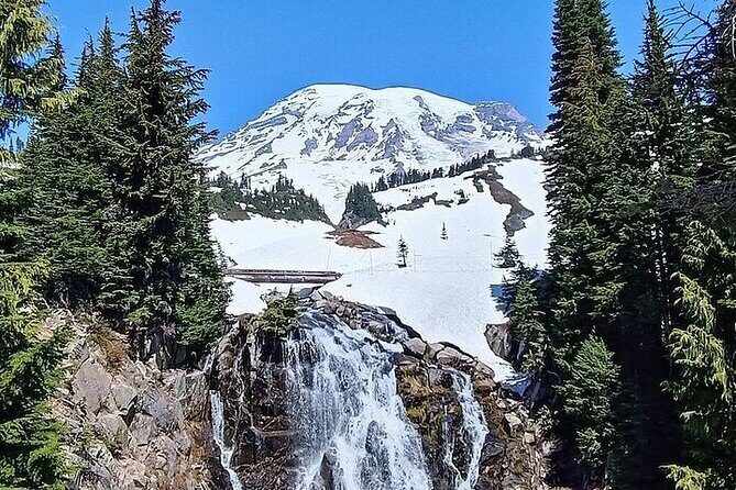 From Portland to Mt. Rainier Tour in a Small Group - Who Should Consider This Tour?