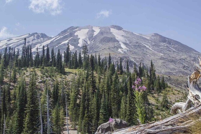 From Portland to Mt. Saint Helen Tour in a small group - An In-Depth Look at the Tour Itinerary