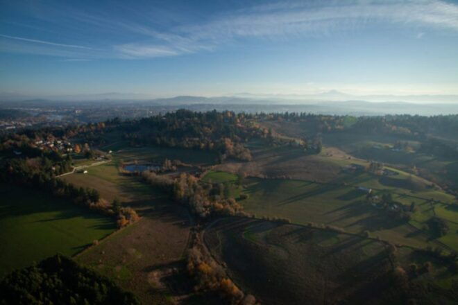 From Portland: Willamette Falls Helicopter Tour - Inclusions