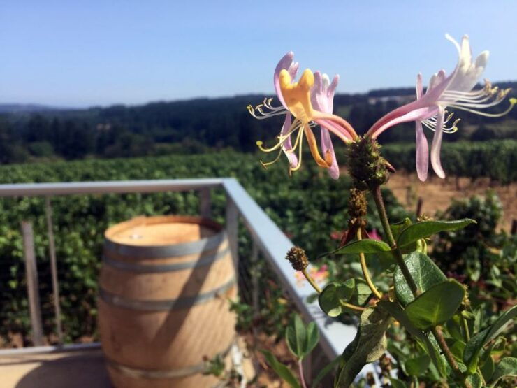 From Portland: Willamette Valley Character Wineries - Picturesque Scenery and Intriguing Personalities