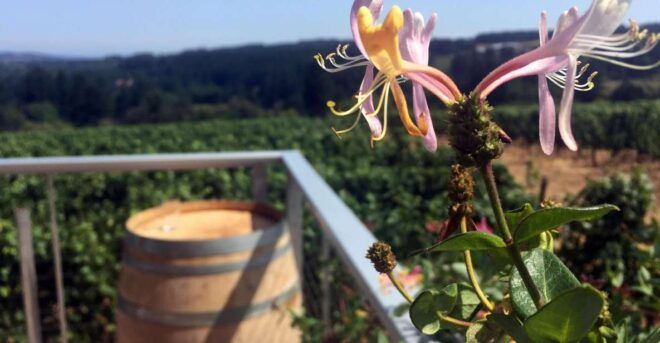 From Portland: Willamette Valley Character Wineries - Customized Tour of Wineries in Willamette Valley