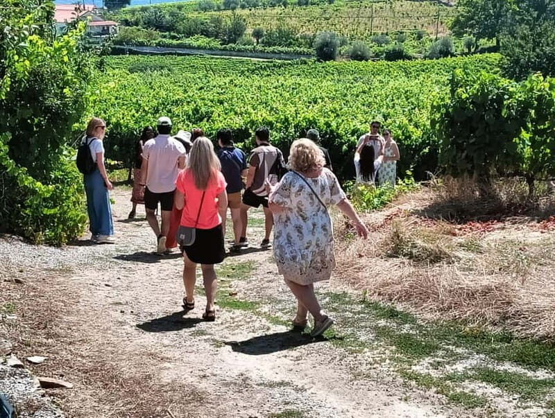 From Porto: 2 Wine Regions, Farm Lunch, and Boat Ride - Good To Know