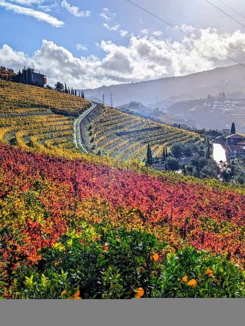 From Porto: 2 Wine Regions, Farm-to-Table Lunch & Boat - Final Thoughts: Who Will Love This Tour?