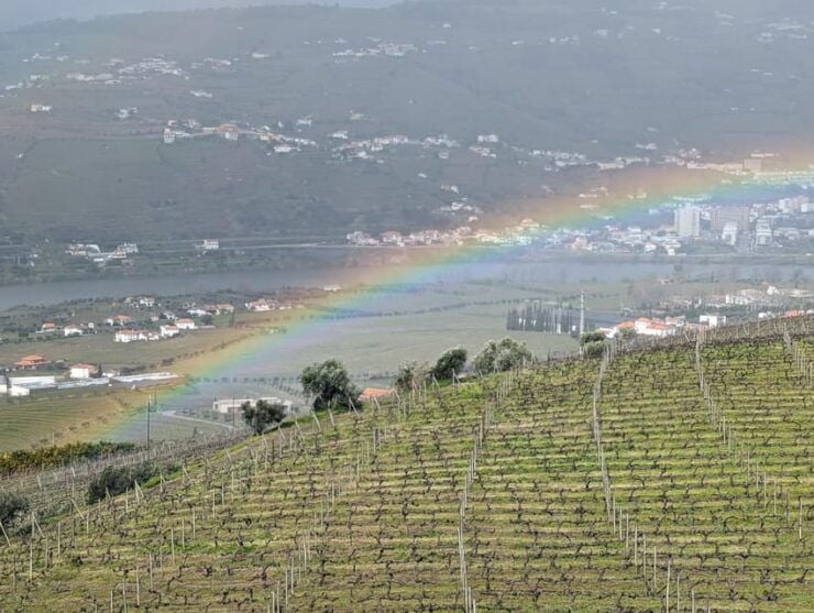 From Porto: 2 Wine Regions, Private Boat & Chefs Lunch - Good To Know