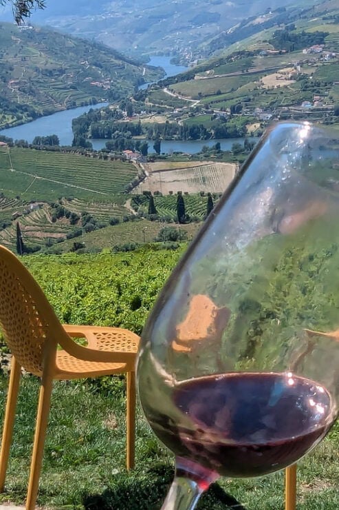 From Porto: 2 Wine Regions, Private Boat & Chefs Lunch - Itinerary Highlights