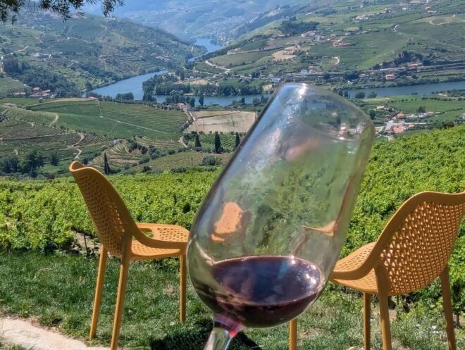 From Porto: 2 Wine Regions, Private Boat & Chefs Lunch - Included Activities and Experiences