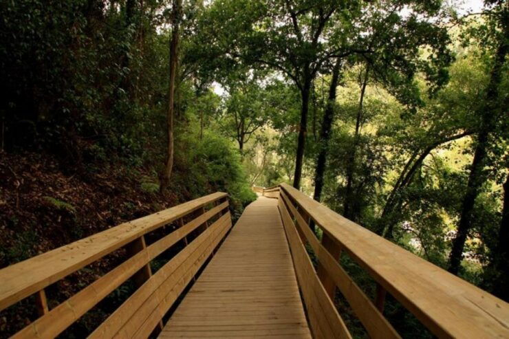 From Porto: 516 Arouca Bridge and Paiva Walkways Guided Tour - Activity Details