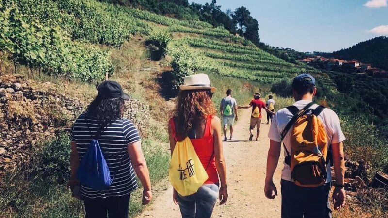 From Porto a private experience to Niepoort with lunch there - Discovering Quinta de Nápoles: An Overview