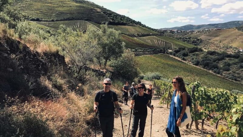 From Porto a private experience to Niepoort with lunch there - A True Taste of Portugal: The Paired Lunch