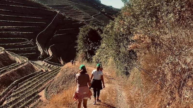 From Porto a private experience to Niepoort with lunch there - FAQ