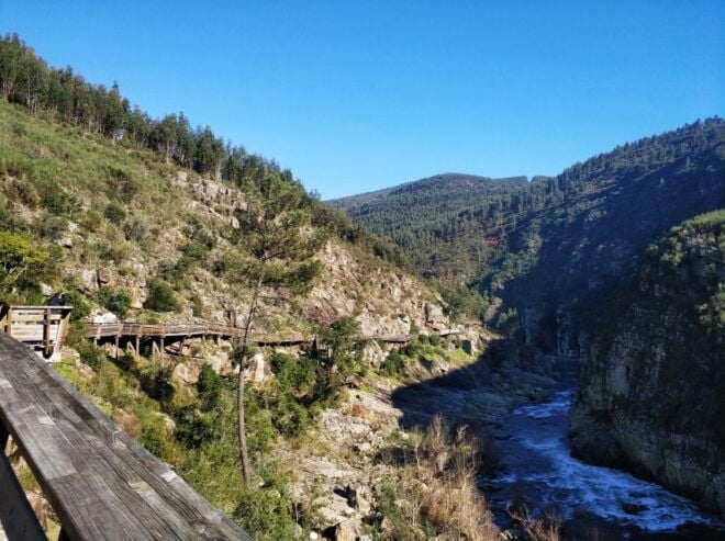 From Porto: Arouca 516 and Paiva Walkways Guided Day Trip - Experience Highlights