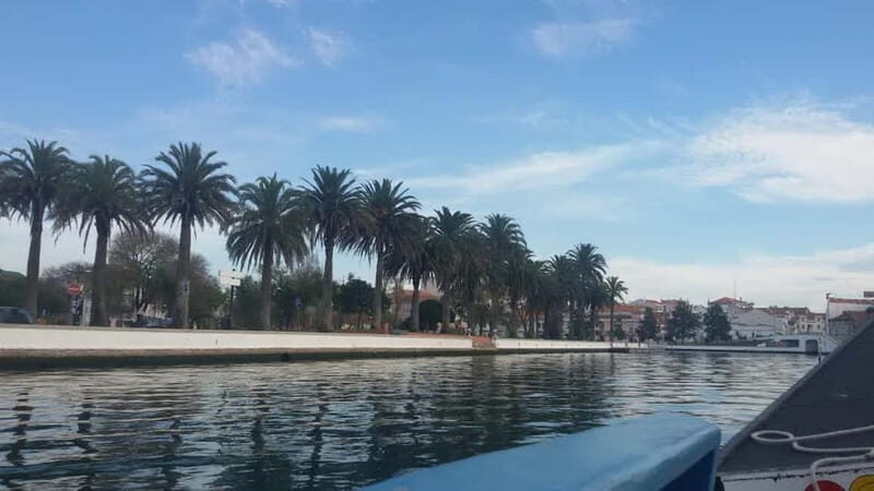 From Porto: Aveiro & Coimbra Tour with Moliceiro Boat Cruise - Good To Know